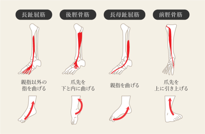 シンスプリント