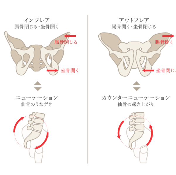 骨盤の仙腸関節から痛みがでる