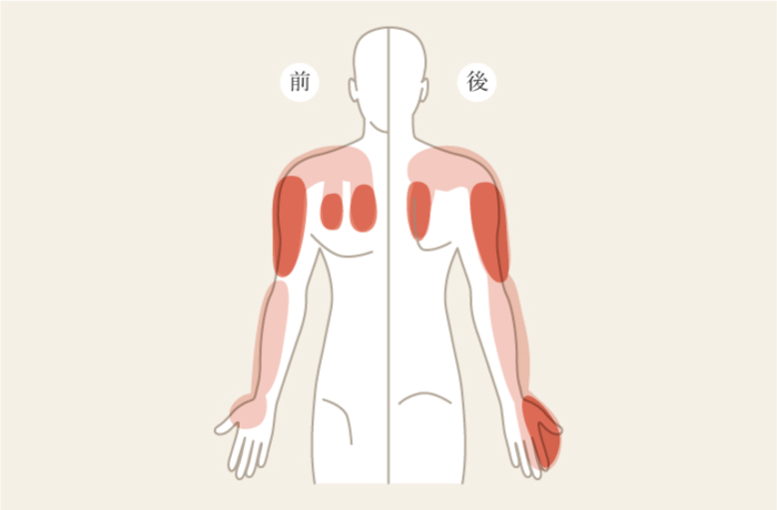 頸部の神経症状・上肢のしびれ